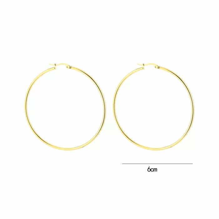 PERFECT HOOPS - oorbellen